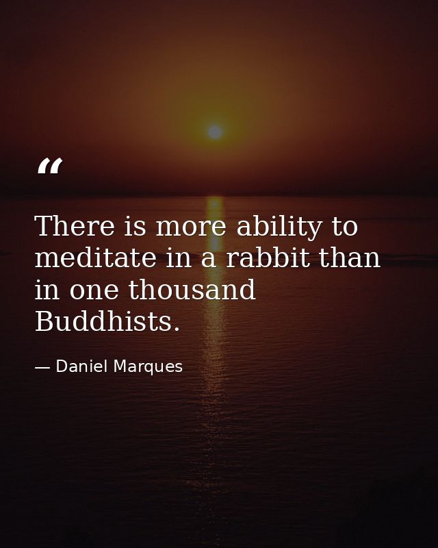 There is more ability to meditate in a rabbit than in one thousand Buddhists. — Daniel Marques