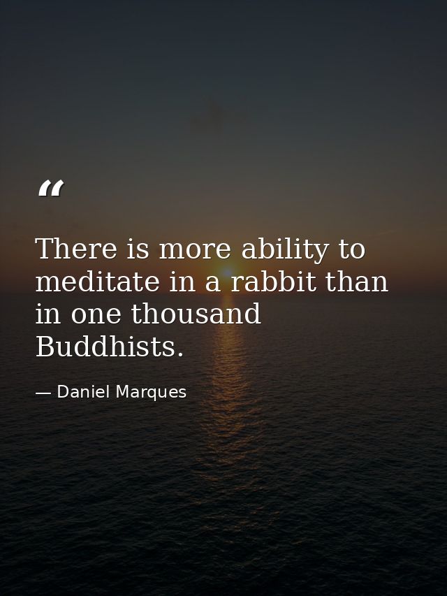 There is more ability to meditate in a rabbit than in one thousand Buddhists. — Daniel Marques