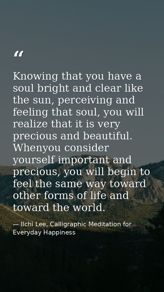 Knowing that you have a soul bright and clear like the sun, perceiving and feeling that soul, you will realize that it i — Ilchi Lee, Calligraphic Meditation for Everyday Happiness