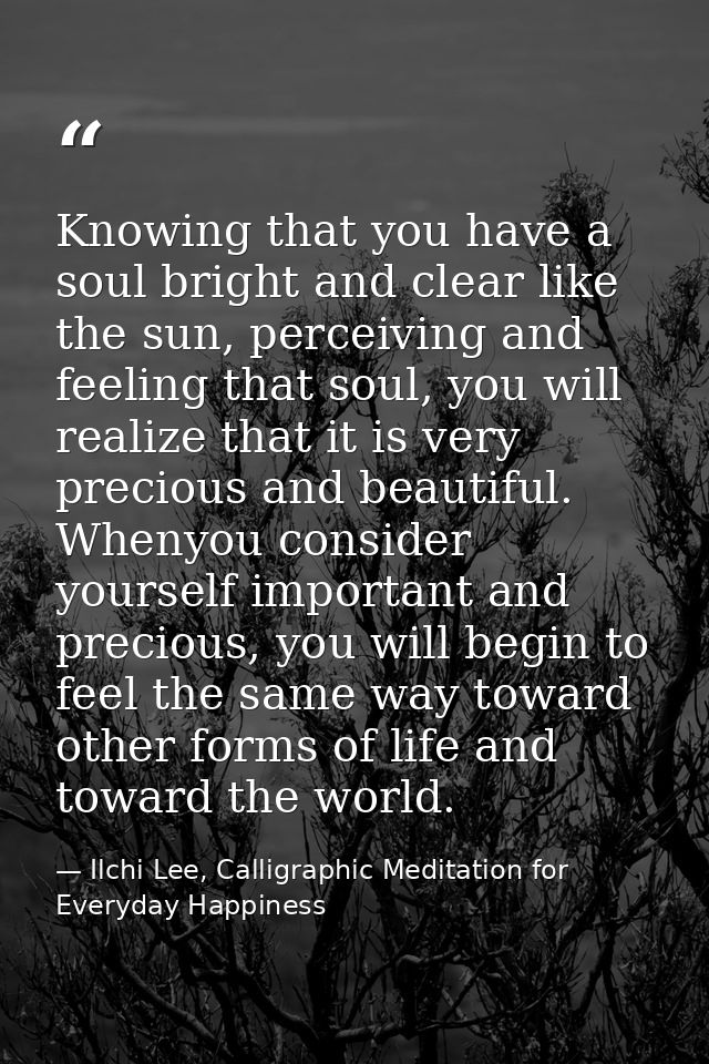 Knowing that you have a soul bright and clear like the sun, perceiving and feeling that soul, you will realize that it i — Ilchi Lee, Calligraphic Meditation for Everyday Happiness