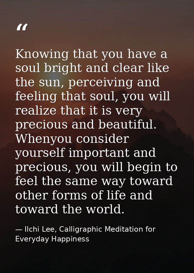 Knowing that you have a soul bright and clear like the sun, perceiving and feeling that soul, you will realize that it i — Ilchi Lee, Calligraphic Meditation for Everyday Happiness