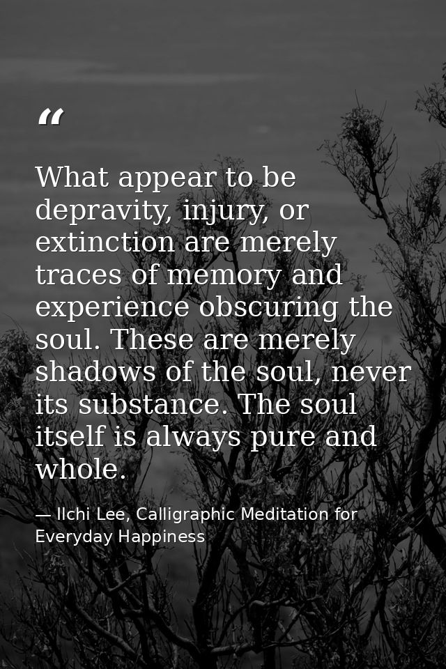 What appear to be depravity, injury, or extinction are merely traces of memory and experience obscuring the soul. These  — Ilchi Lee, Calligraphic Meditation for Everyday Happiness