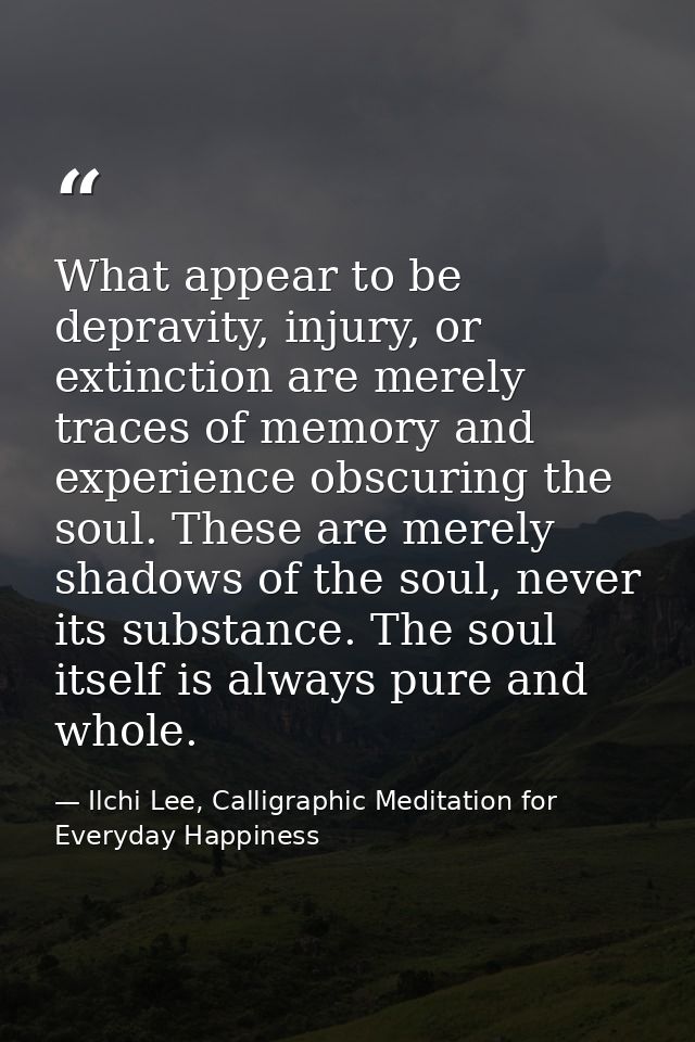 What appear to be depravity, injury, or extinction are merely traces of memory and experience obscuring the soul. These  — Ilchi Lee, Calligraphic Meditation for Everyday Happiness
