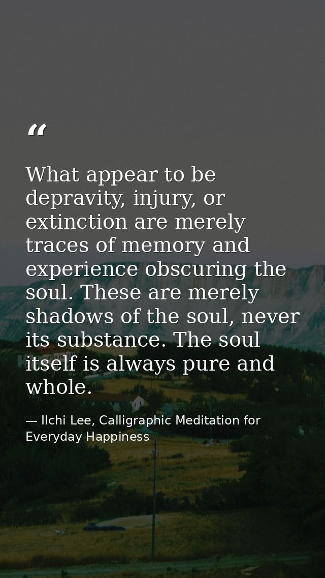 What appear to be depravity, injury, or extinction are merely traces of memory and experience obscuring the soul. These  — Ilchi Lee, Calligraphic Meditation for Everyday Happiness