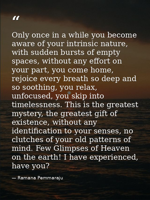Only once in a while you become aware of your intrinsic nature, with sudden bursts of empty spaces, without any effort o — Ramana Pemmaraju