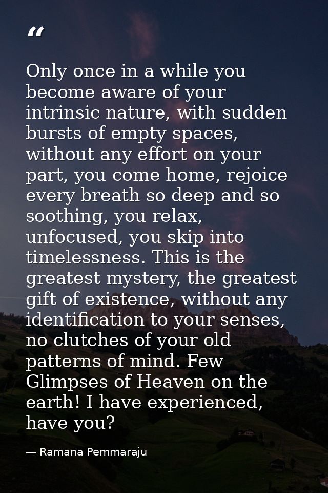 Only once in a while you become aware of your intrinsic nature, with sudden bursts of empty spaces, without any effort o — Ramana Pemmaraju