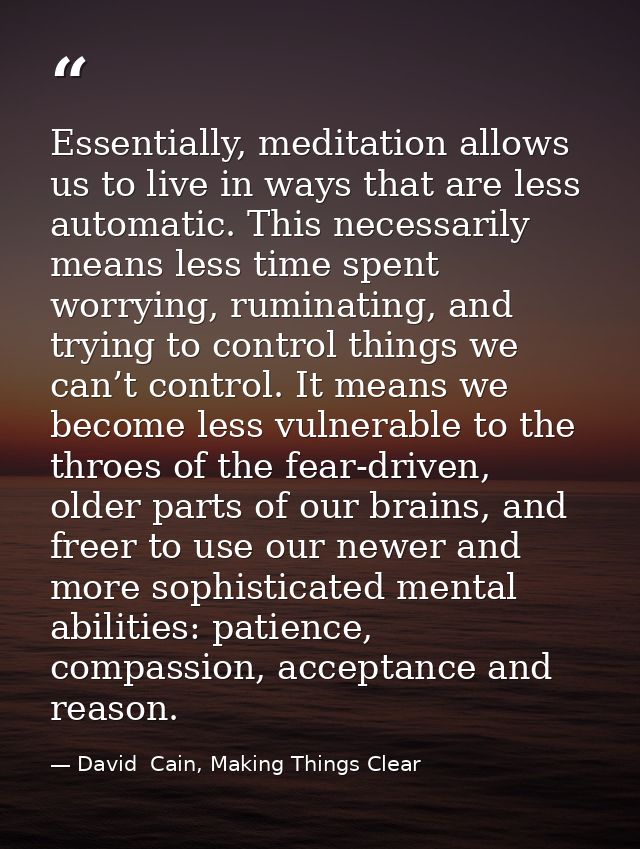 Essentially, meditation allows us to live in ways that are less automatic. This necessarily means less time spent worryi — David  Cain, Making Things Clear