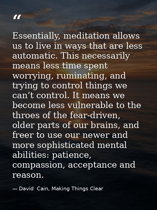Essentially, meditation allows us to live in ways that are less automatic. This necessarily means less time spent worryi — David  Cain, Making Things Clear
