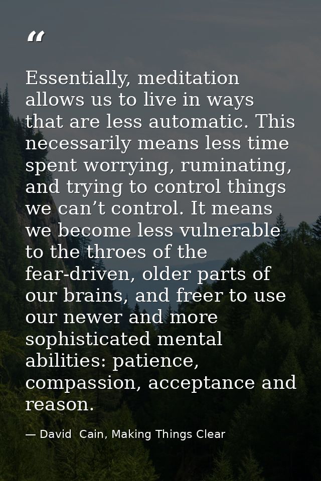 Essentially, meditation allows us to live in ways that are less automatic. This necessarily means less time spent worryi — David  Cain, Making Things Clear