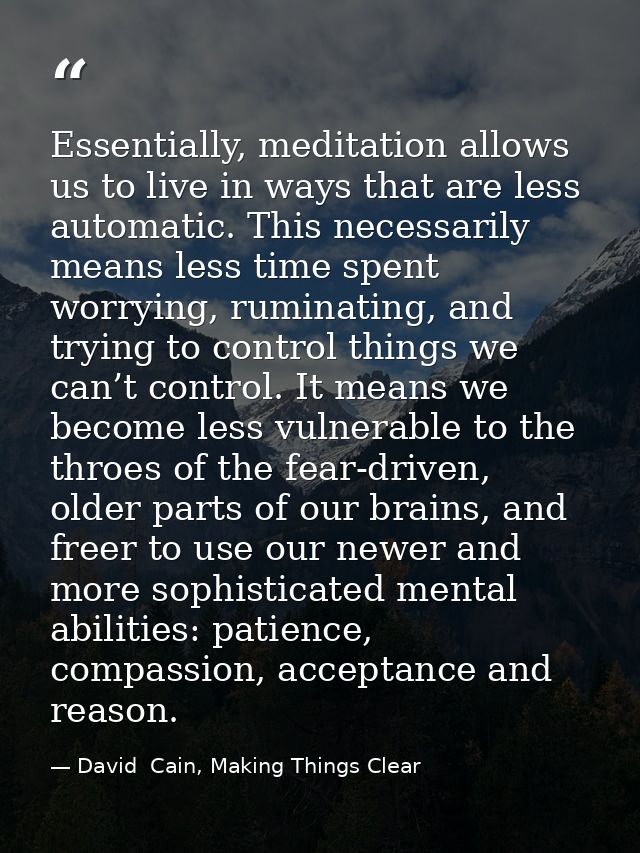 Essentially, meditation allows us to live in ways that are less automatic. This necessarily means less time spent worryi — David  Cain, Making Things Clear