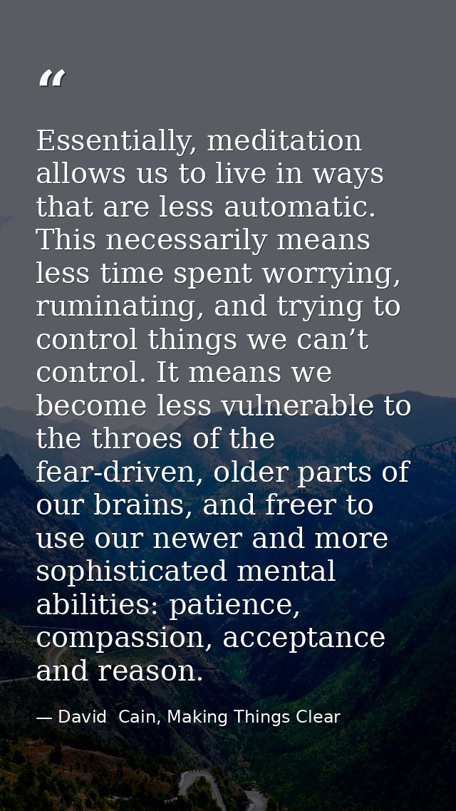 Essentially, meditation allows us to live in ways that are less automatic. This necessarily means less time spent worryi — David  Cain, Making Things Clear