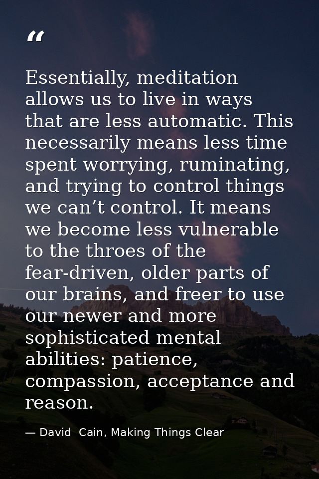 Essentially, meditation allows us to live in ways that are less automatic. This necessarily means less time spent worryi — David  Cain, Making Things Clear