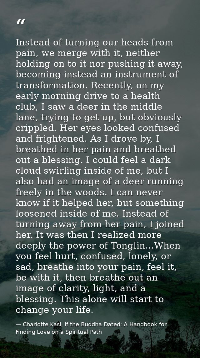 Instead of turning our heads from pain, we merge with it, neither holding on to it nor pushing it away, becoming instead — Charlotte Kasl, If the Buddha Dated: A Handbook for Finding Love on a Spiritual Path