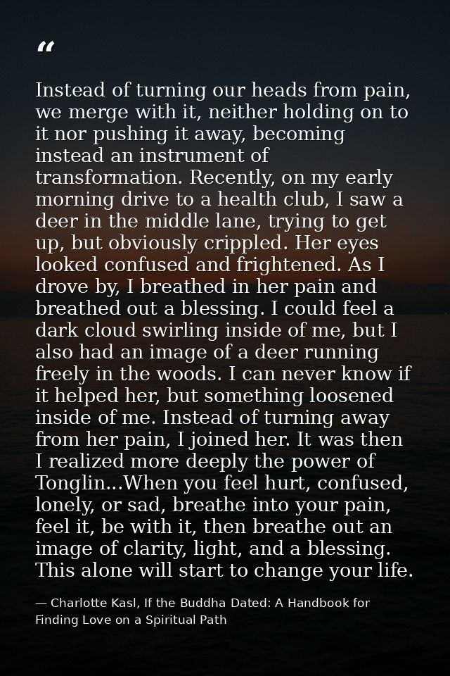 Instead of turning our heads from pain, we merge with it, neither holding on to it nor pushing it away, becoming instead — Charlotte Kasl, If the Buddha Dated: A Handbook for Finding Love on a Spiritual Path