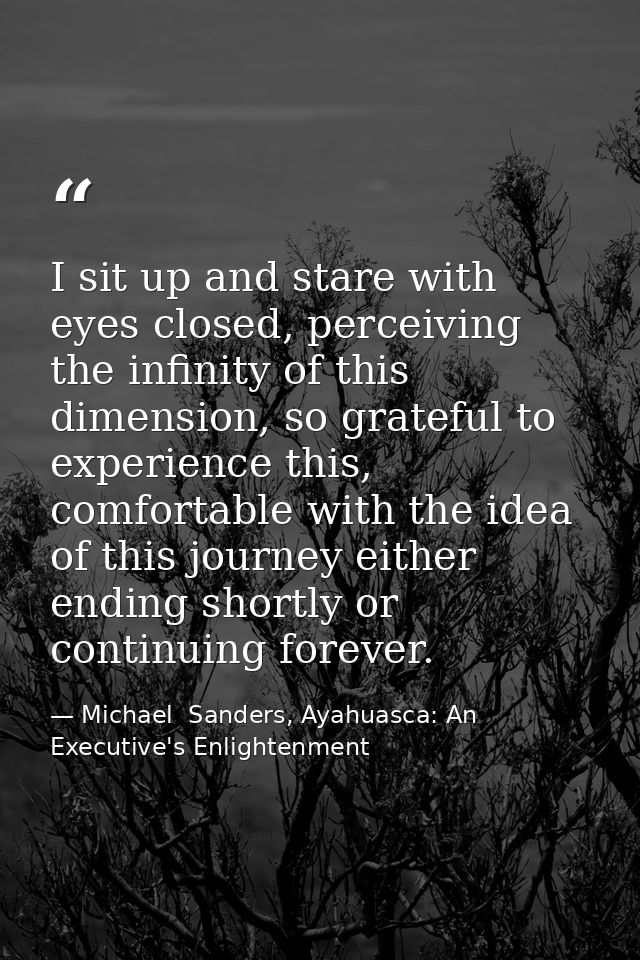 I sit up and stare with eyes closed, perceiving the infinity of this dimension, so grateful to experience this, comforta — Michael  Sanders, Ayahuasca: An Executive's Enlightenment