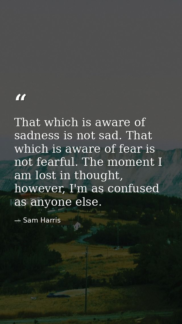 That which is aware of sadness is not sad. That which is aware of fear is not fearful. The moment I am lost in thought,  — Sam Harris