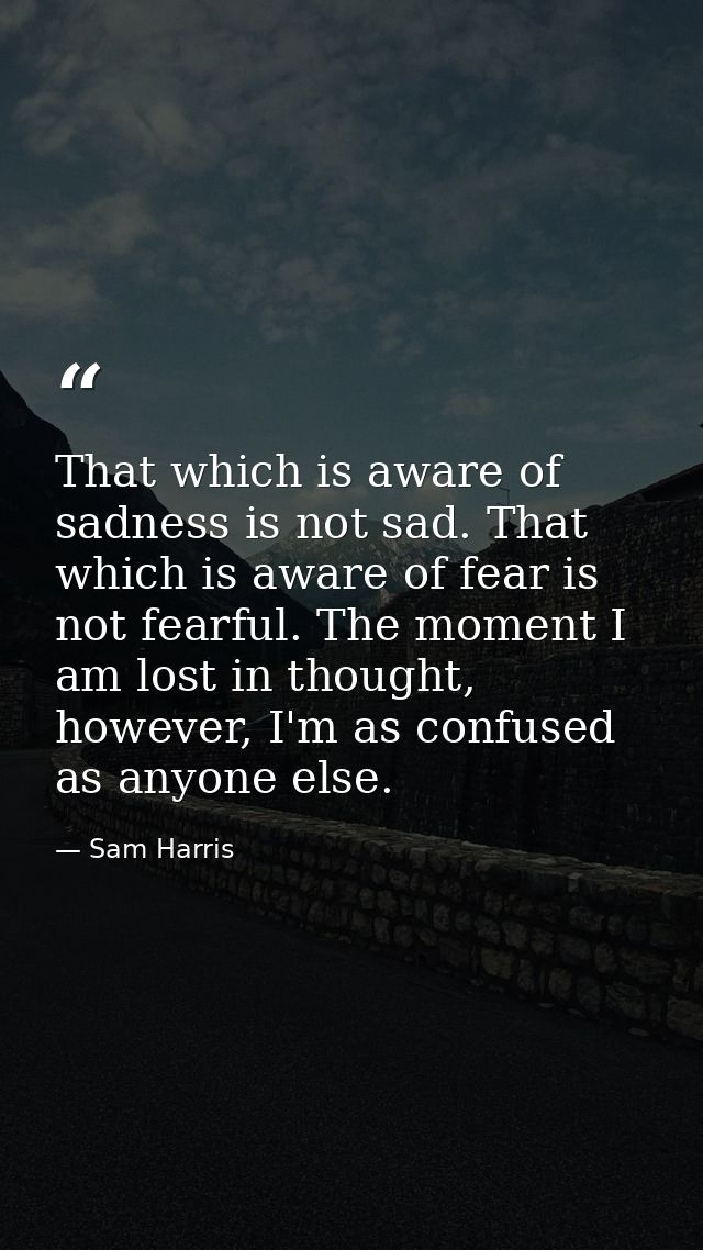 That which is aware of sadness is not sad. That which is aware of fear is not fearful. The moment I am lost in thought,  — Sam Harris