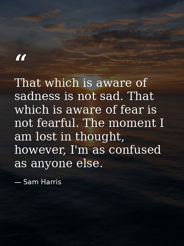 That which is aware of sadness is not sad. That which is aware of fear is not fearful. The moment I am lost in thought,  — Sam Harris