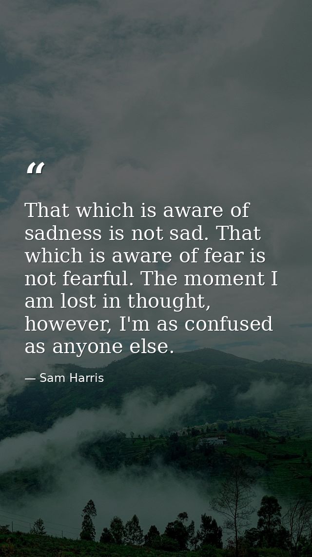 That which is aware of sadness is not sad. That which is aware of fear is not fearful. The moment I am lost in thought,  — Sam Harris
