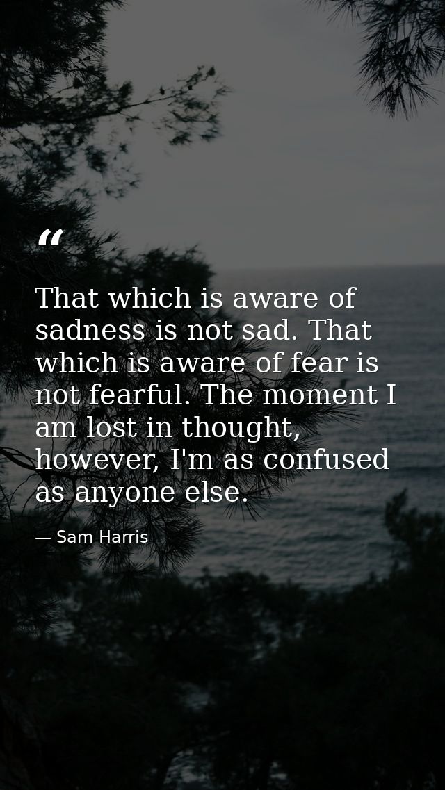That which is aware of sadness is not sad. That which is aware of fear is not fearful. The moment I am lost in thought,  — Sam Harris