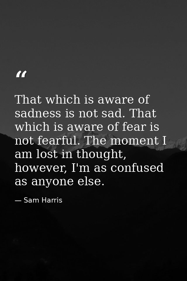 That which is aware of sadness is not sad. That which is aware of fear is not fearful. The moment I am lost in thought,  — Sam Harris