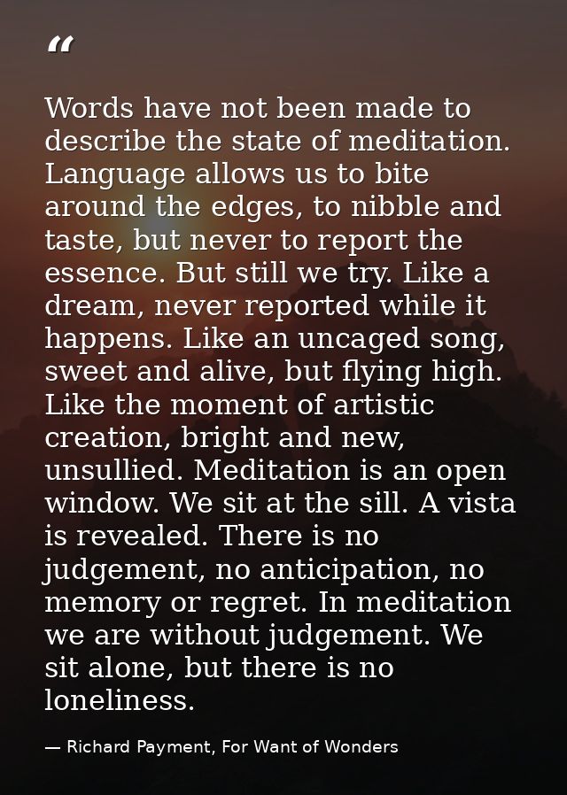 Words have not been made to describe the state of meditation. Language allows us to bite around the edges, to nibble and — Richard Payment, For Want of Wonders