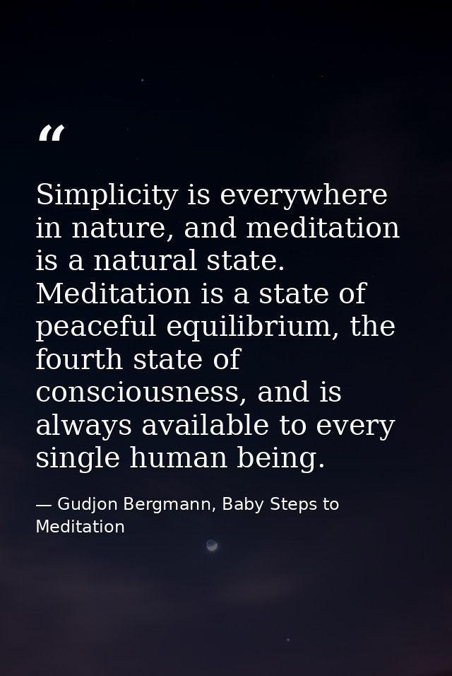 Simplicity is everywhere in nature, and meditation is a natural state. Meditation is a state of peaceful equilibrium, th — Gudjon Bergmann, Baby Steps to Meditation