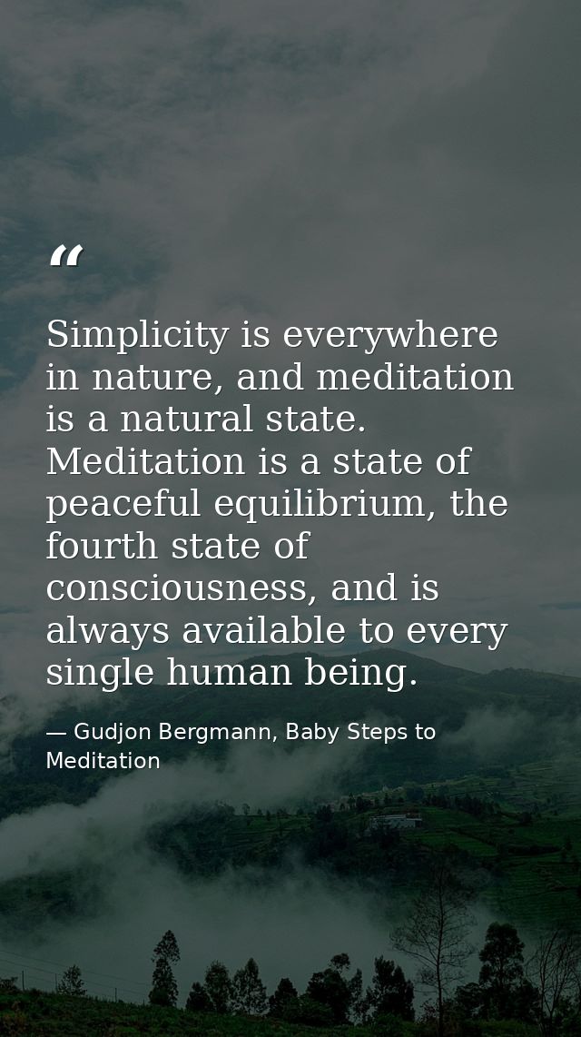 Simplicity is everywhere in nature, and meditation is a natural state. Meditation is a state of peaceful equilibrium, th — Gudjon Bergmann, Baby Steps to Meditation