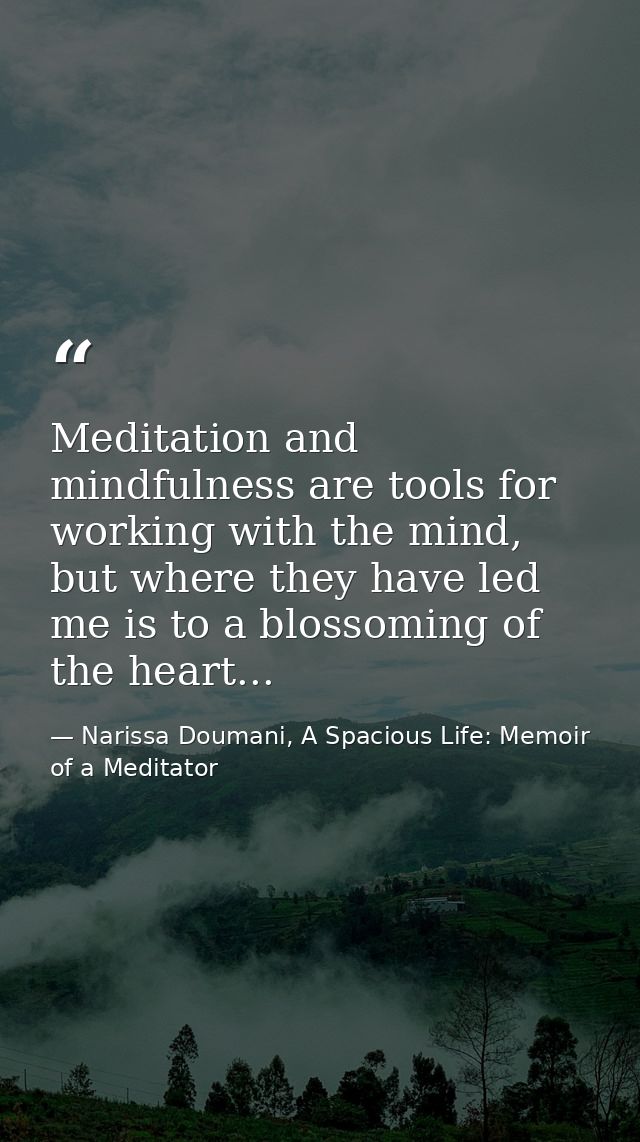 Meditation and mindfulness are tools for working with the mind, but where they have led me is to a blossoming of the hea — Narissa Doumani, A Spacious Life: Memoir of a Meditator