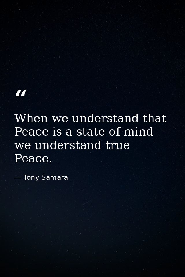 When we understand that Peace is a state of mind we understand true Peace. — Tony Samara