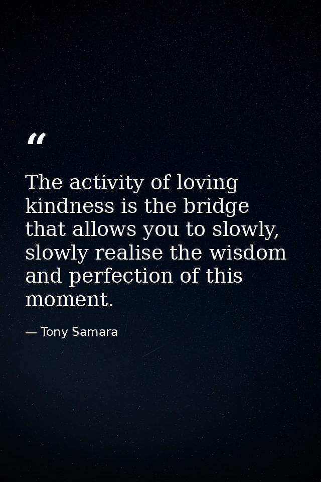 The activity of loving kindness is the bridge that allows you to slowly, slowly realise the wisdom and perfection of thi — Tony Samara