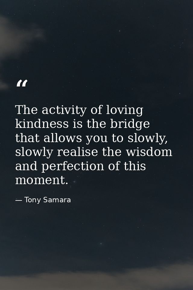 The activity of loving kindness is the bridge that allows you to slowly, slowly realise the wisdom and perfection of thi — Tony Samara