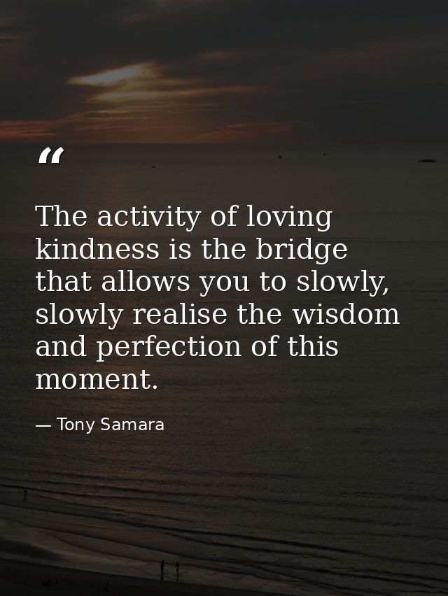 The activity of loving kindness is the bridge that allows you to slowly, slowly realise the wisdom and perfection of thi — Tony Samara