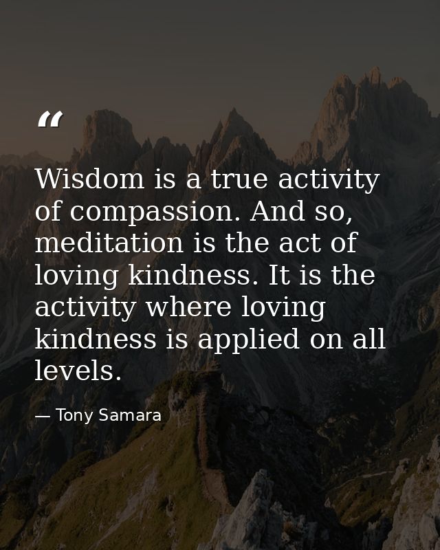 Wisdom is a true activity of compassion. And so, meditation is the act of loving kindness. It is the activity where lovi — Tony Samara