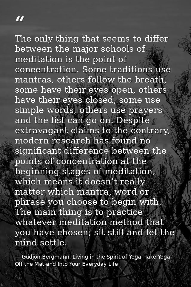 The only thing that seems to differ between the major schools of meditation is the point of concentration. Some traditio — Gudjon Bergmann, Living in the Spirit of Yoga: Take Yoga Off the Mat and Into Your Everyday Life