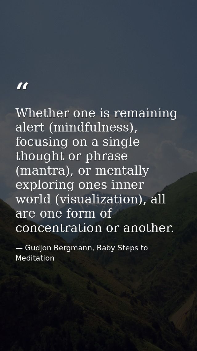 Whether one is remaining alert (mindfulness), focusing on a single thought or phrase (mantra), or mentally exploring one — Gudjon Bergmann, Baby Steps to Meditation
