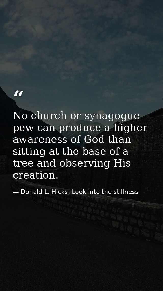 No church or synagogue pew can produce a higher awareness of God than sitting at the base of a tree and observing His cr — Donald L. Hicks, Look into the stillness