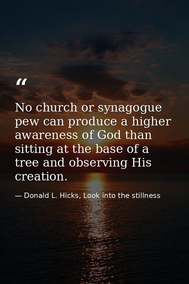 No church or synagogue pew can produce a higher awareness of God than sitting at the base of a tree and observing His cr — Donald L. Hicks, Look into the stillness