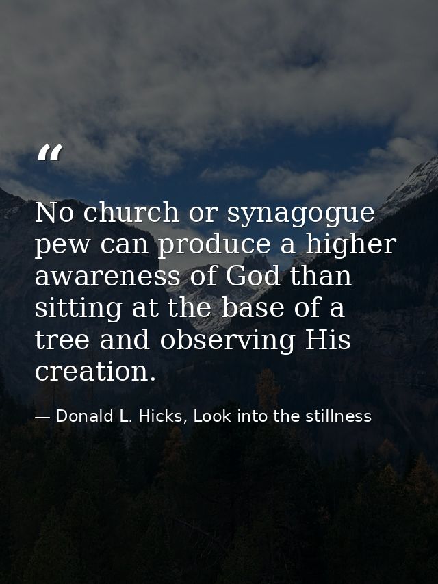 No church or synagogue pew can produce a higher awareness of God than sitting at the base of a tree and observing His cr — Donald L. Hicks, Look into the stillness