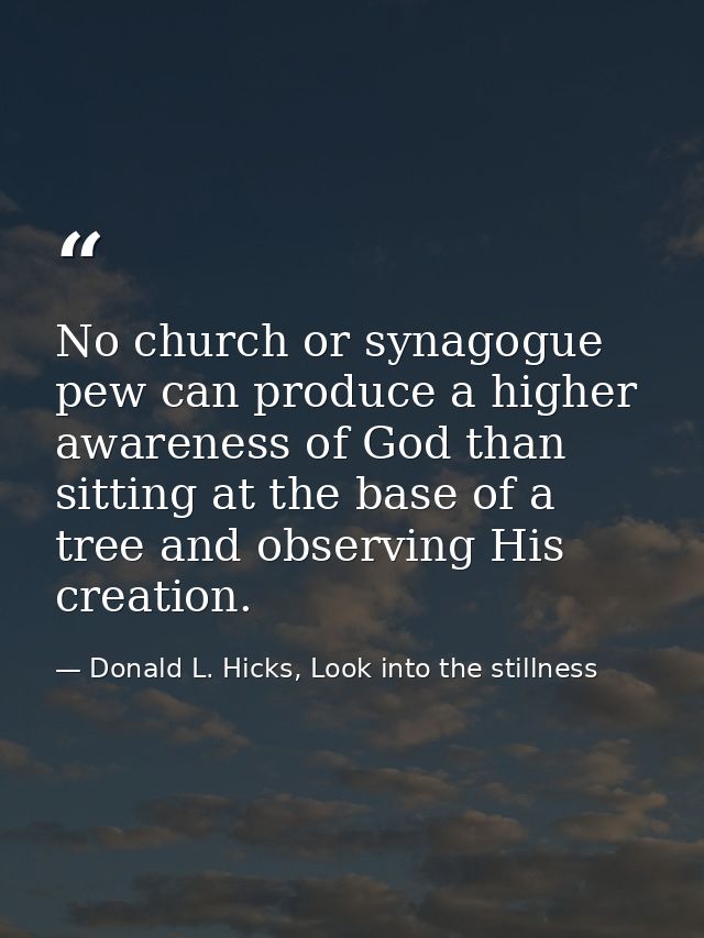 No church or synagogue pew can produce a higher awareness of God than sitting at the base of a tree and observing His cr — Donald L. Hicks, Look into the stillness