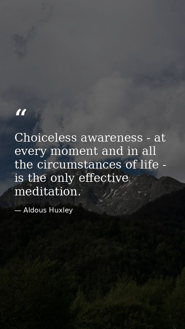 Choiceless awareness - at every moment and in all the circumstances of life - is the only effective meditation. — Aldous Huxley