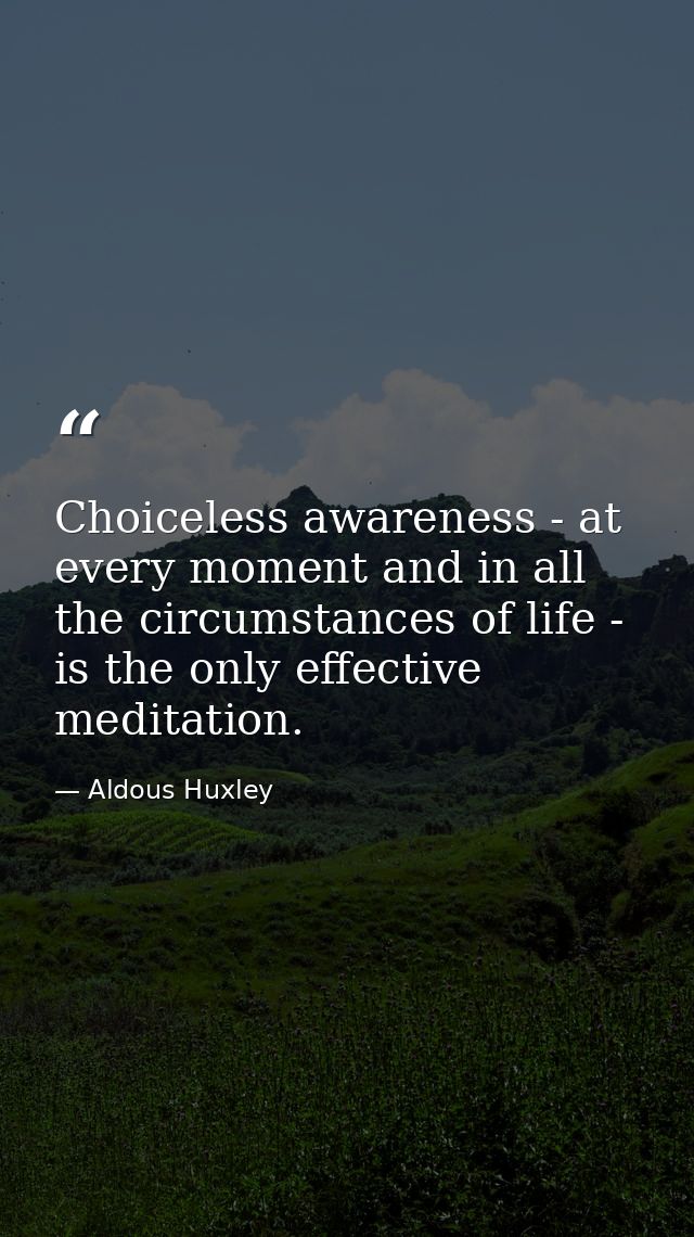 Choiceless awareness - at every moment and in all the circumstances of life - is the only effective meditation. — Aldous Huxley