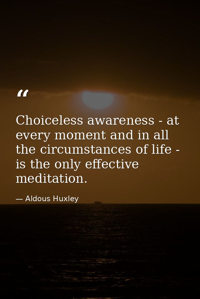 Choiceless awareness - at every moment and in all the circumstances of life - is the only effective meditation. — Aldous Huxley