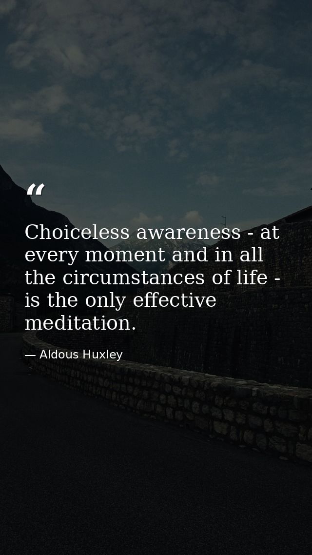 Choiceless awareness - at every moment and in all the circumstances of life - is the only effective meditation. — Aldous Huxley