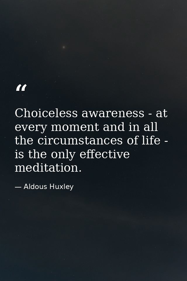 Choiceless awareness - at every moment and in all the circumstances of life - is the only effective meditation. — Aldous Huxley