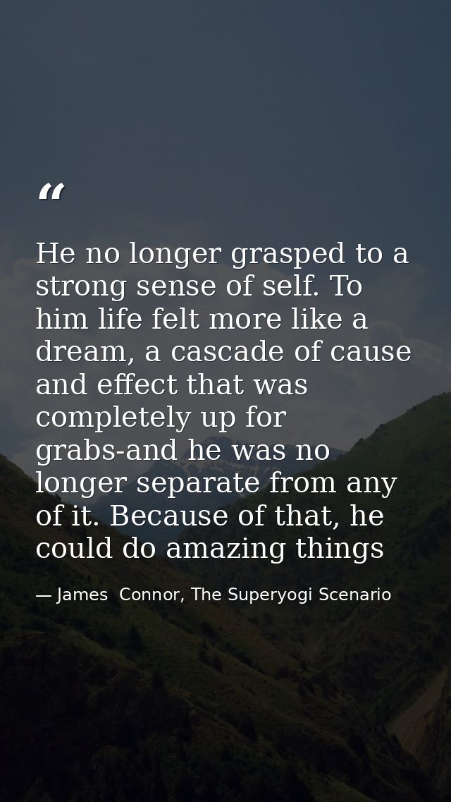 He no longer grasped to a strong sense of self. To him life felt more like a dream, a cascade of cause and effect that w — James  Connor, The Superyogi Scenario