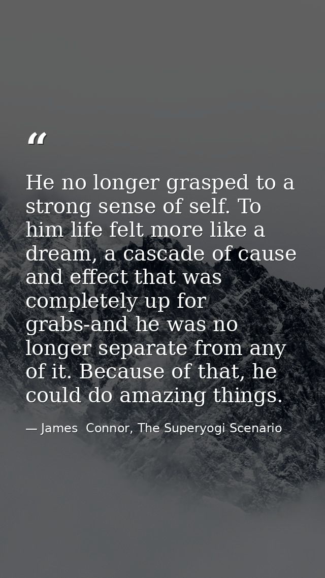 He no longer grasped to a strong sense of self. To him life felt more like a dream, a cascade of cause and effect that w — James  Connor, The Superyogi Scenario