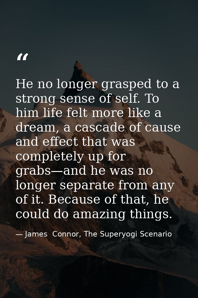 He no longer grasped to a strong sense of self. To him life felt more like a dream, a cascade of cause and effect that w — James  Connor, The Superyogi Scenario