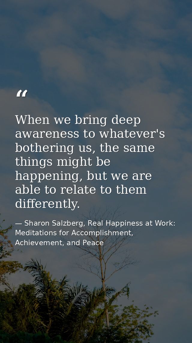 When we bring deep awareness to whatever's bothering us, the same things might be happening, but we are able to relate t — Sharon Salzberg, Real Happiness at Work: Meditations for Accomplishment, Achievement, and Peace