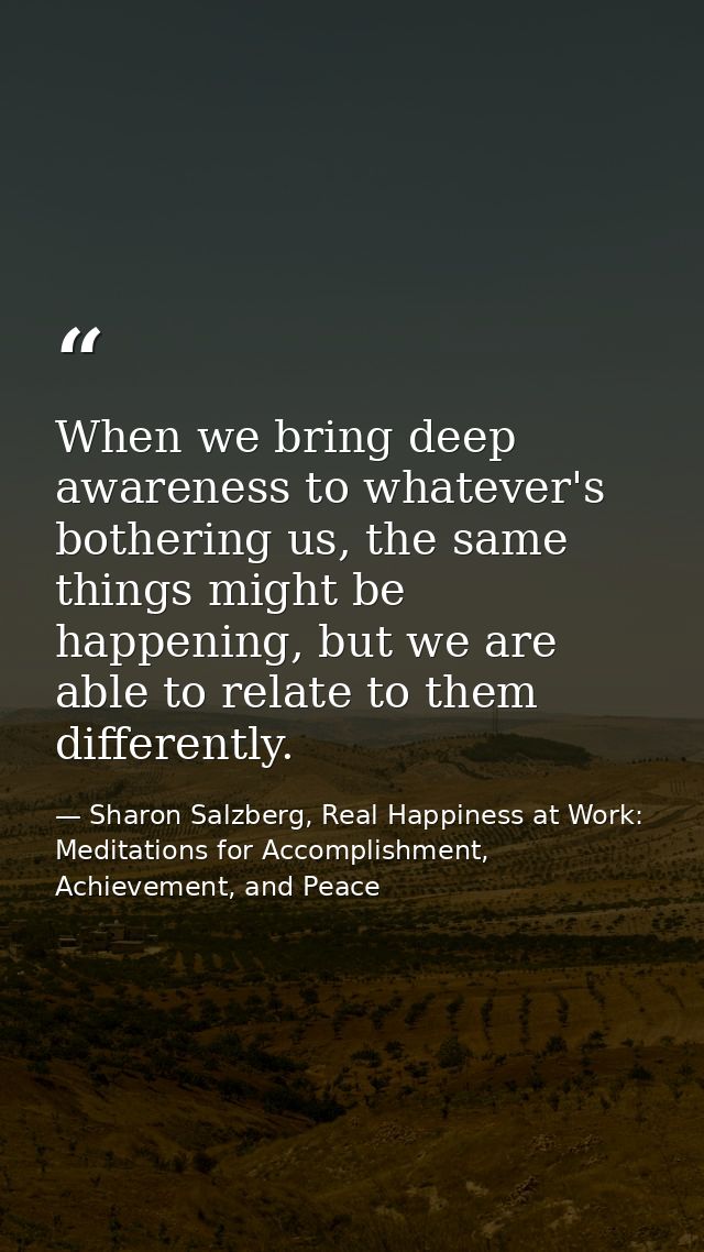 When we bring deep awareness to whatever's bothering us, the same things might be happening, but we are able to relate t — Sharon Salzberg, Real Happiness at Work: Meditations for Accomplishment, Achievement, and Peace